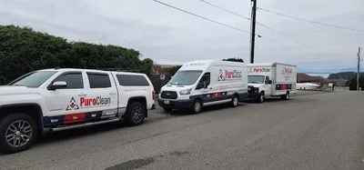 PuroClean of Marysville Profile Photo - Water Damage Restoration in Marysville WA