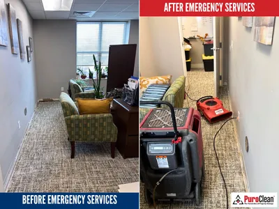 PuroClean of Orland Park Profile Photo - Water Damage Restoration in Orland Park IL