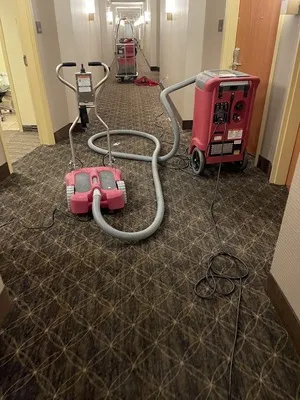 PuroClean of South Murfreesboro Profile Photo - Water Damage Restoration in Murfreesboro TN