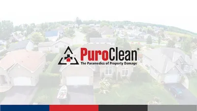 PuroClean of Hunt Valley Profile Photo - Water Damage Restoration in Hunt Valley MD