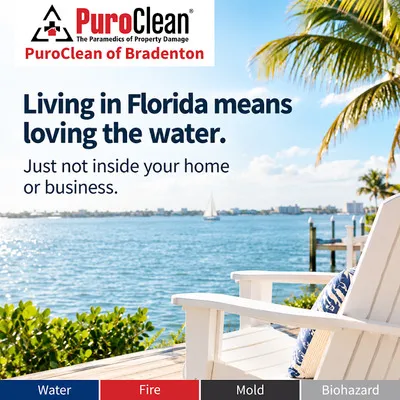PuroClean of Bradenton Profile Photo - Water Damage Restoration in Bradenton FL