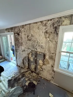 PuroClean of San Clemente Profile Photo - Water Damage Restoration in San Clemente CA