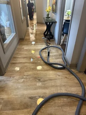 PuroClean of Winston-Salem North Profile Photo - Water Damage Restoration in Winston-Salem NC