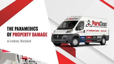 PuroClean Restoration Services Profile Photo - Water Damage Restoration in Lanham MD
